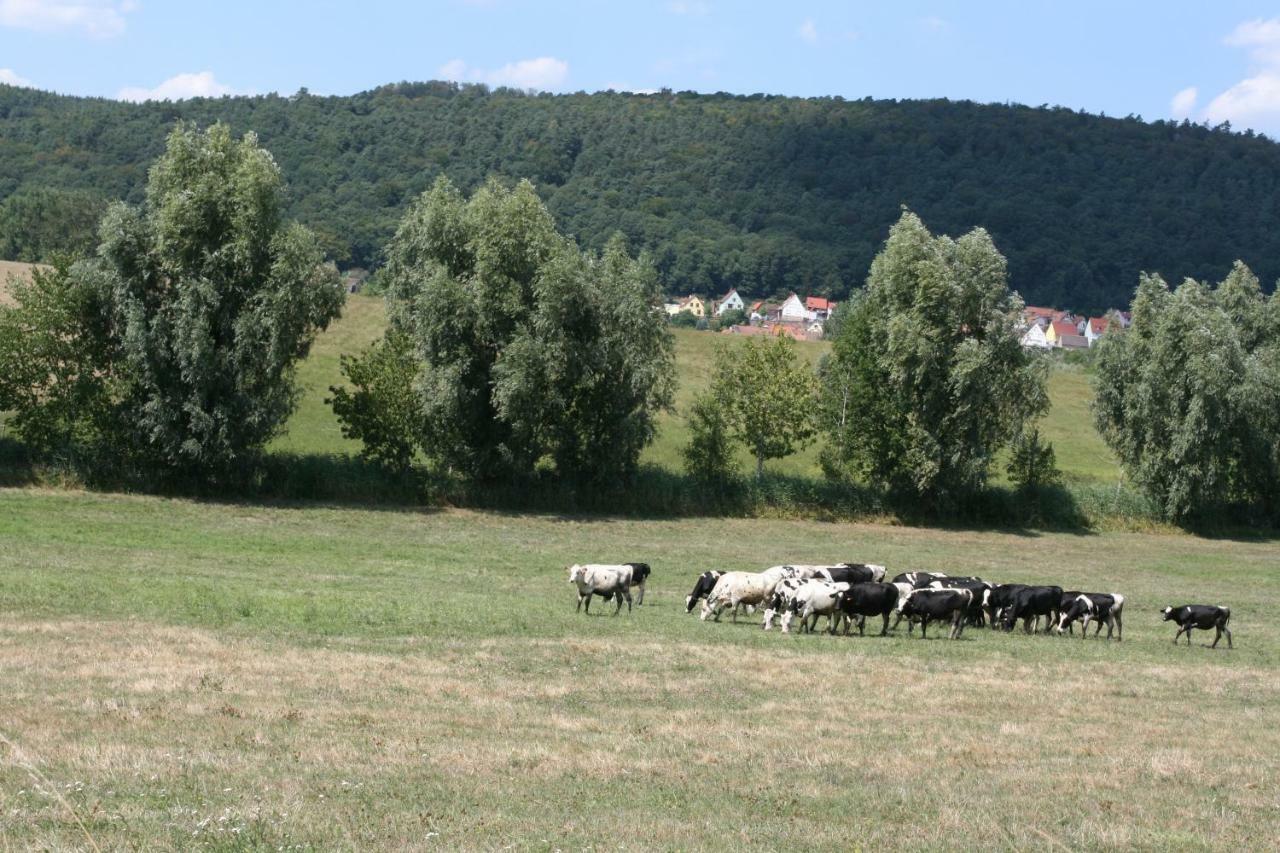 La Ferme De Georges Apt 1 A 6 Pers Bischholtz Exterior foto